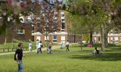 มหาวิทยาลัย Sussex 3 image